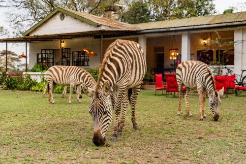 Sanctuary Farm House 5-Bedroom Lodge in Wildlife in Найваша