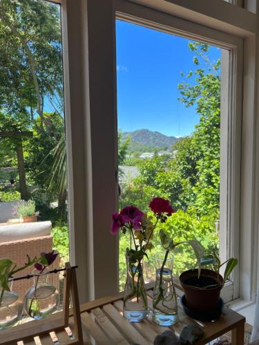 View, amelie, urban retreat awaits in Nelson South