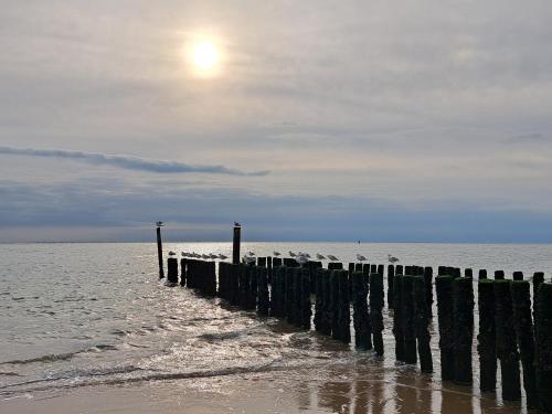  “In Oans Oefje” Parel in de polder! in Lewedorp