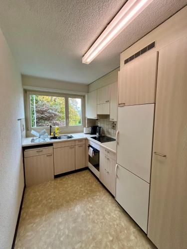 3 Bedroom Apartment with Balcony, 26 min to Zurich Center, Curych (fotografie 3)