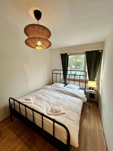 3 Bedroom Apartment with Balcony, 26 min to Zurich Center, Curych (fotografie 5)