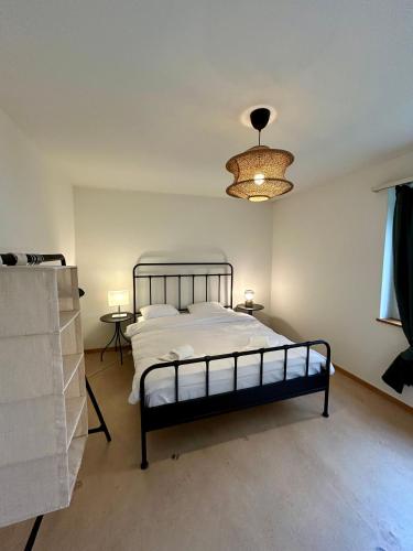 3 Bedroom Apartment with Balcony, 26 min to Zurich Center, Curych (fotografie 9)