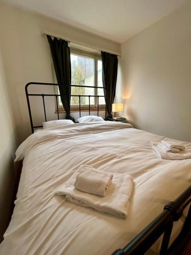 3 Bedroom Apartment with Balcony, 26 min to Zurich Center, Curych (fotografie 10)