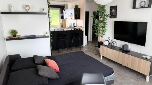 T2 Cosy La-Haut a Creteil Netflix & WiFi Fibre in Creteil