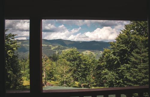 Bilyi Slon Gadzhyna in Verhovyna