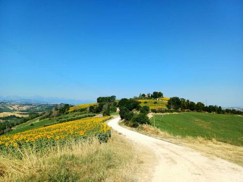 A környék, Casale Il Picchio Verde in Ponzano Di Fermo