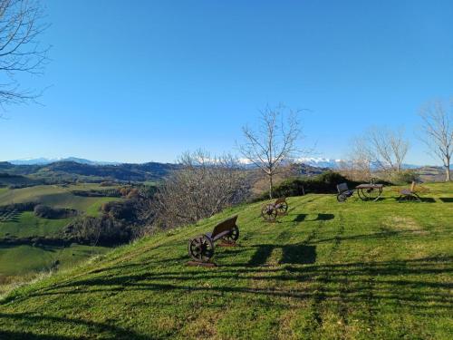 A környék, Casale Il Picchio Verde in Ponzano Di Fermo