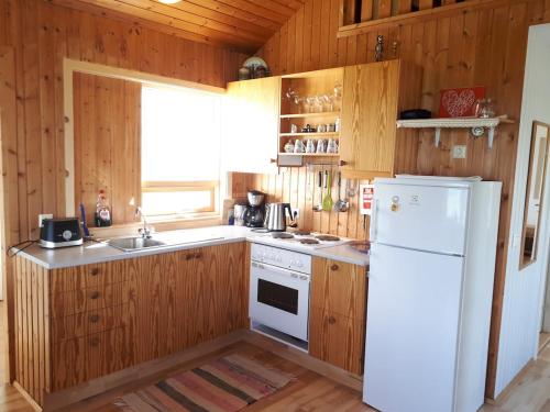 virtuve, Brimilsvellir Cottage in Snaefellsbaer