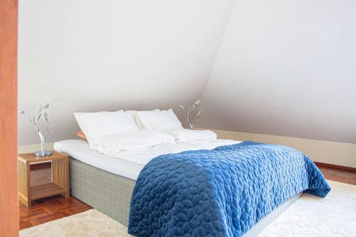 Penthouse Loft with Jacuzzi and Sauna, Helsinki (foto 7)