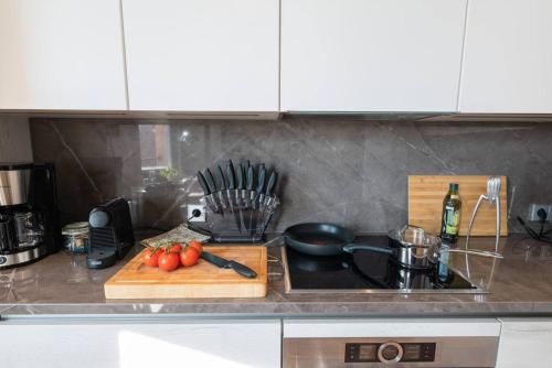Luxury Penthouse, Sauna, Balcony, AirCon, Helsinki (foto 6)