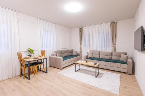 Studio with Sofa Bed