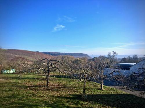 Golfblick in Bekond