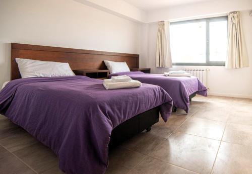 . departament en Añelo Neuquen