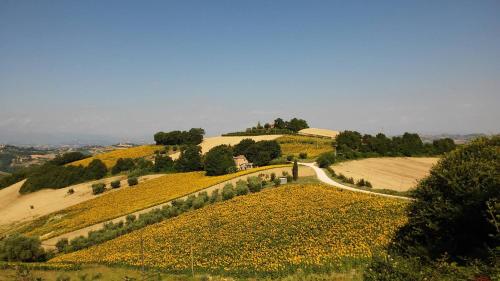 A környék, Casale Il Picchio Verde in Ponzano Di Fermo