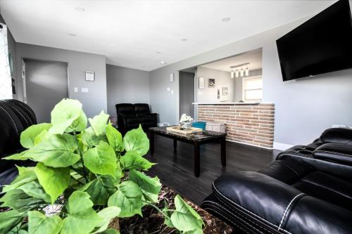 5BR House Close to Falls & Aquarium