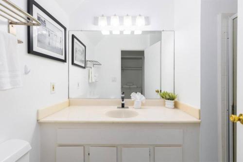 Sunny 1 Bedroom in the Heart of Venice Beach - #1 in Los Angeles, USA