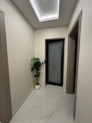 ذا روز الخبر