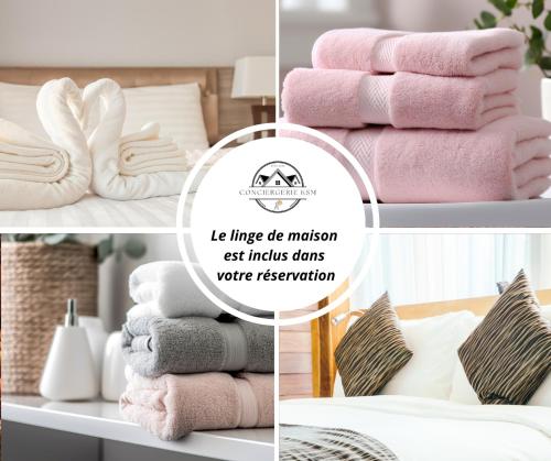 Dotări, Studio Himalaya Rénové et lumineux (Studio Himalaya Renove et lumineux) in Palaiseau