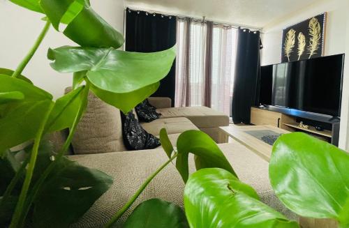 Appartement Confortable