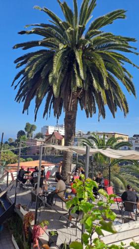 balkon/terras, Hotel 251 in Vina Del Mar