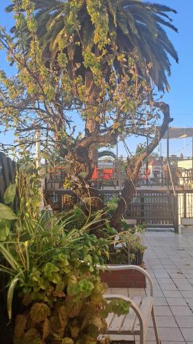 balkon/terras, Hotel 251 in Vina Del Mar