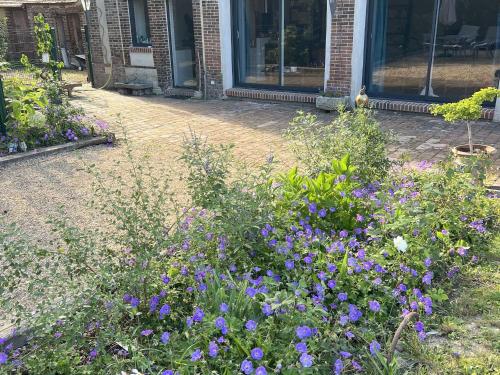 Gîte charmant avec jardin clos et parking à Saint-Sauveur-Marville - FR-1-581-146 (Gite charmant avec jardin clos et parking a Saint-Sauveur-Marville - FR-1-581-146) in Châteauneuf-en-Thymerais