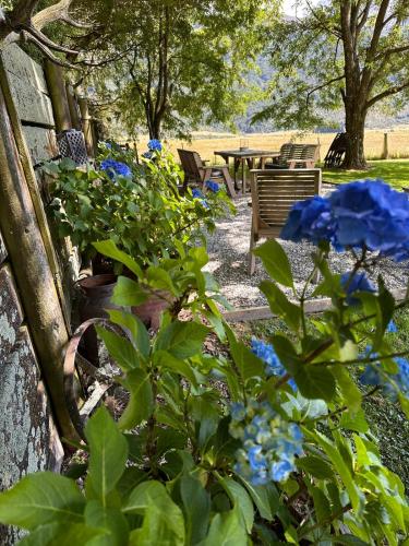 Hawkshead Boutique Studio & Gardens in Makarora