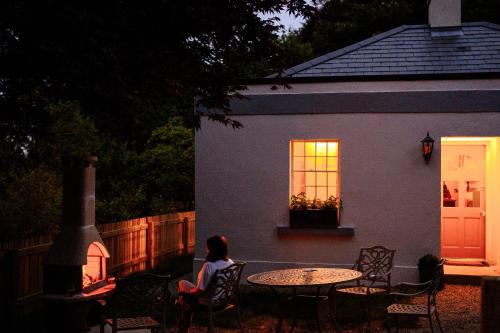 The Forest at Mount Congreve Gardens in Kilmeaden Waterford