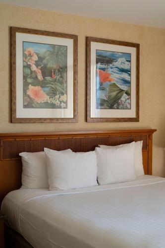 Waikiki Resort Hotel - image 13