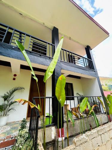 Paradiso Hostel El nido in Palawan