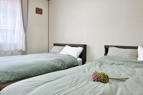 Pure Forest 101 Hokkaido Hakodate Goryoukaku