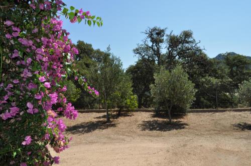 Einrichtungen, Agriturismo Vaddidulimu in Luogosanto
