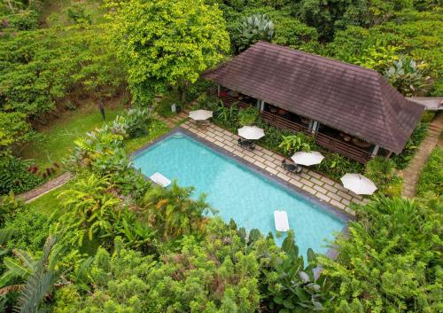 Swimming pool, Hidden Gardens Resort, Davao in Eden