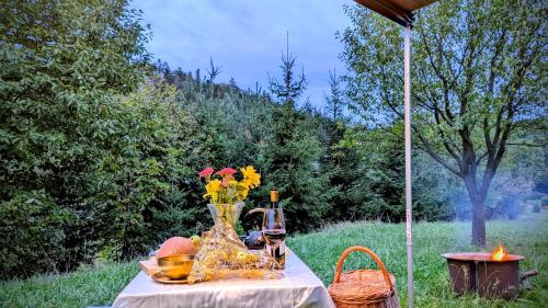 Ubytování v obytném voze (Ubytovani v obytnem voze) in Lesni Hluboke