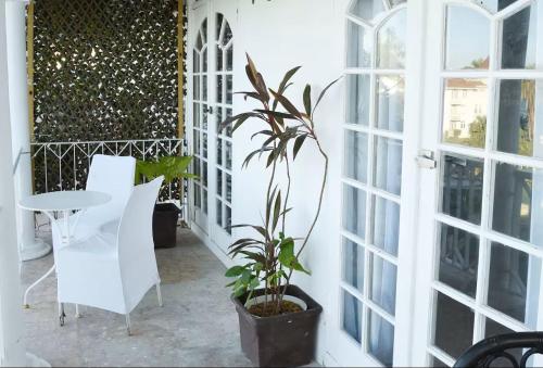 Palvelut, Seacastles by the beach/pool in Montego Bay