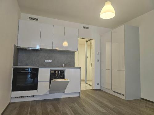 Prague Centre Luxury Apartment & Parking - with large glass balcony, Prague (photo 6)