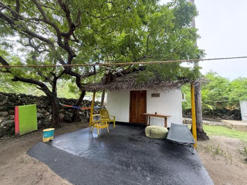 Delft Village Stay - Experience Based Local Island Stay in Jaffna in Jaffna