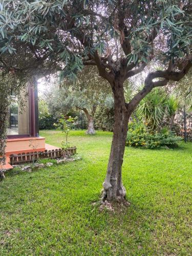 Il Giardino di Seba