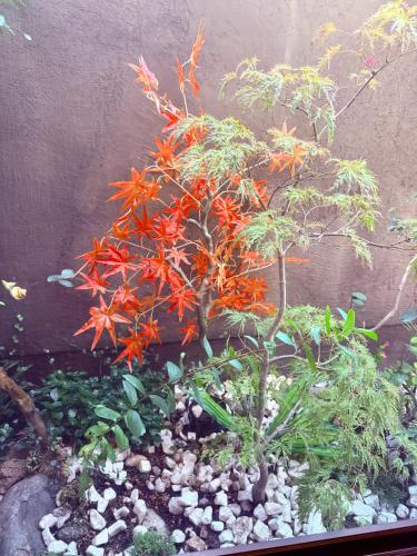 楓之宿1號館
