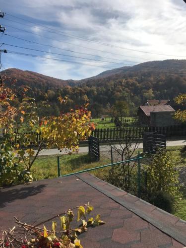 Ромашка, Sheshory (foto 4)