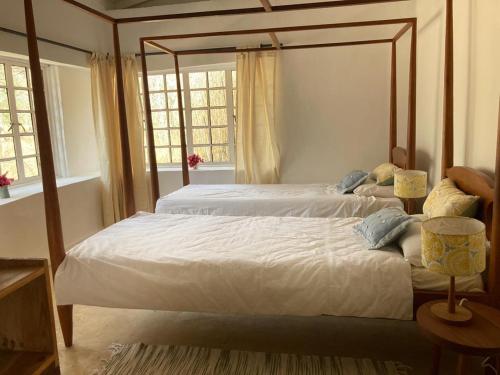Giraffe Eco Cottage in Monduli