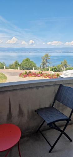 Le Bellevue 2 in Thonon-les-Bains