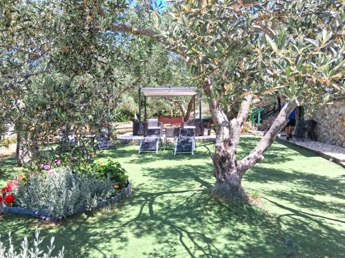 House Cicibela - image 6