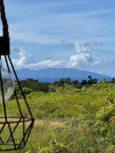 Θέα, Maison Canne à Sucre (Maison Canne a Sucre) in Γκράντε Άνσε