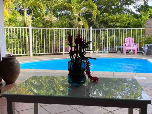 Villa charmante à Sainte-Luce avec piscine privée - Location, gîte - Rivière Pilote