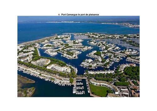 Appartement agreable avec piscine a Le Grau-du-Roi in Le Grau-du-Roi