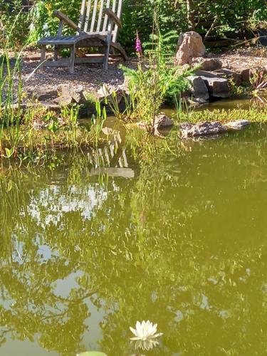 A szálláshely kívülről, Pension Espenhof in Lorch-Lorchhausen