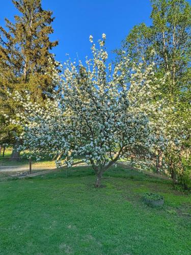 Det vesle huset på Lysåker (Det vesle huset pa Lysaker) in วินสตรา