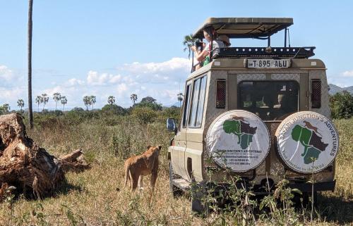 Safari Junction Backpackers hostel