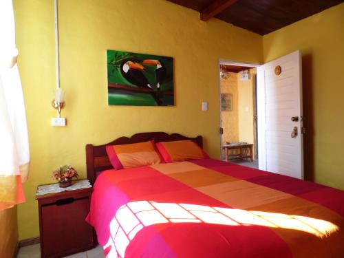 Foto - La Casa Amarilla